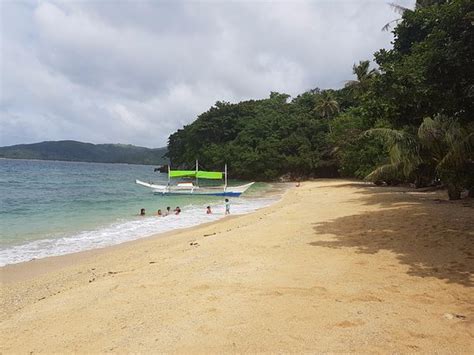 San Pedro Beach Resort Beach: Pictures & Reviews .